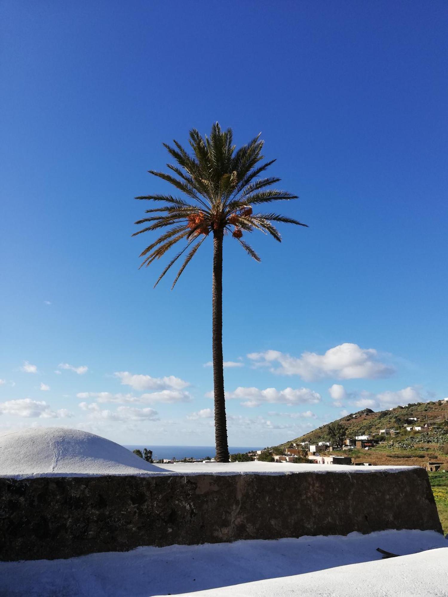 Il Mulino Di Scauri Villa Scauri  ภายนอก รูปภาพ